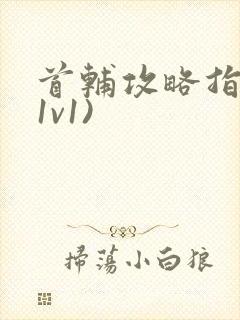 首辅攻略指南(1v1)