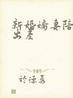 新婚娇妻陪局长出差封面