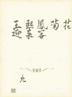 王熙凤菊花门初迎来客