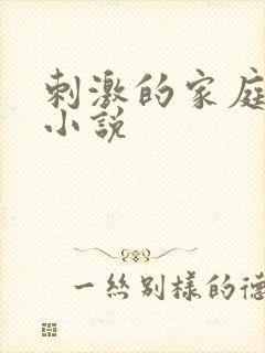 刺激的家庭乱仑小说