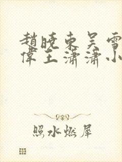 赵晓东吴雪晴郑伟王潇潇小说名字