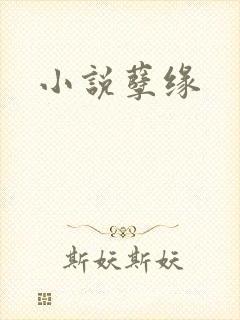 小说孽缘