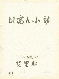 bl高h小说