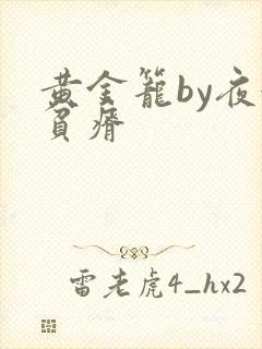 黄金笼by夜很贫瘠