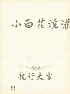 小白花浇灌日常