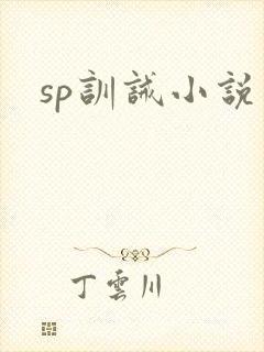 sp训诫小说