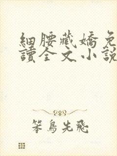 细腰藏娇免费阅读全文小说苏珞浅