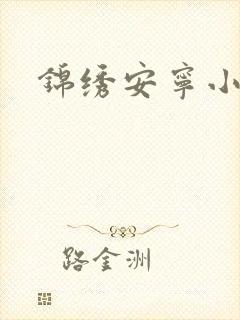锦绣安宁小说