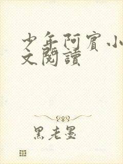 少年阿宾小说全文阅读