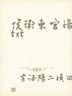 侯卫东官场笔记txt