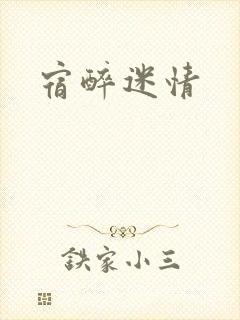 宿醉迷情封面