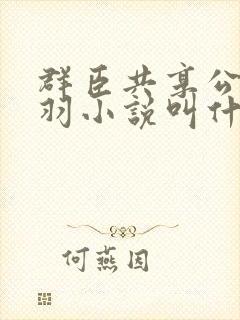 群臣共享公主银羽小说叫什么