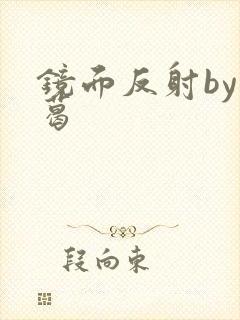 镜面反射by九葛