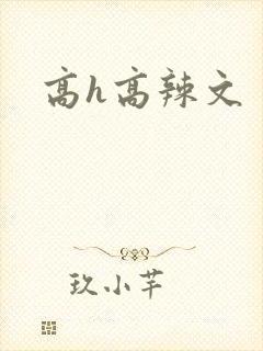 高h高辣文