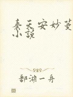 秦天安妙菱修仙小说