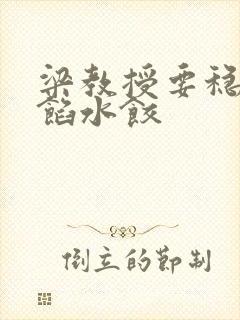 梁教授要稳住肉馅水饺封面