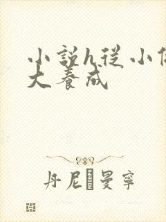 小说h从小做到大养成