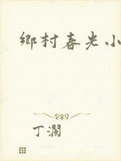 乡村春光小说