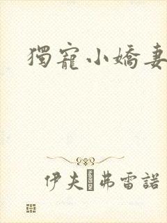 独宠小娇妻封面