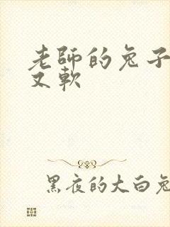 老师的兔子又大又软