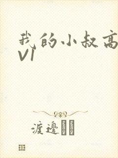 我的小叔高H1V1封面