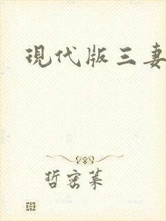 现代版三妻四妾封面