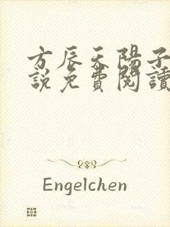 方辰天阳子的小说免费阅读封面