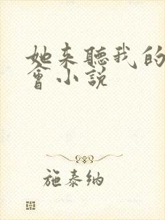 她来听我的演唱会小说