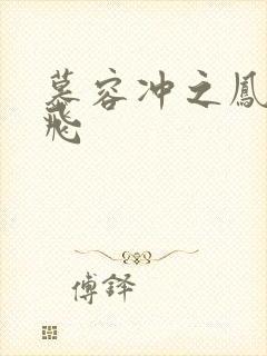 慕容冲之凤凰于飞封面
