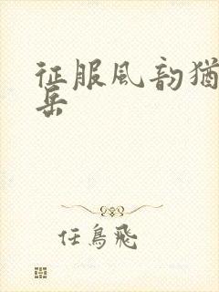 征服风韵犹存的岳封面