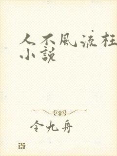 人不风流枉少年小说封面