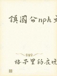 镇国公nph文