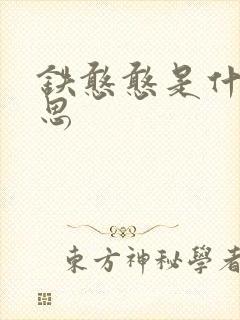 铁憨憨是什么意思