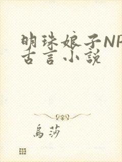 明珠娘子NPC古言小说封面