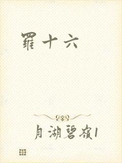 罗十六