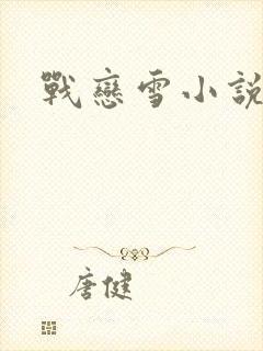 战恋雪小说封面