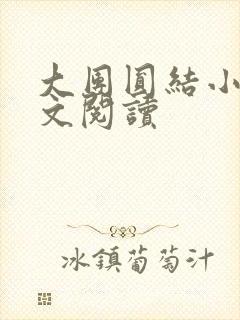 大团圆结小茹全文阅读