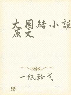 大团结小说阅读原文