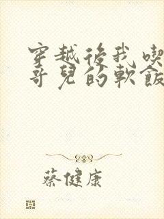 穿越后我吃到了哥儿的软饭炉山灰