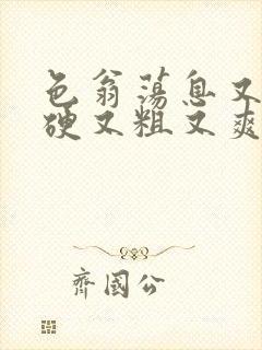 色翁荡息又大又硬又粗又爽