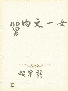 np肉文一女多男