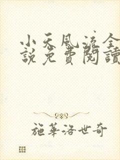 小天风流全集小说免费阅读