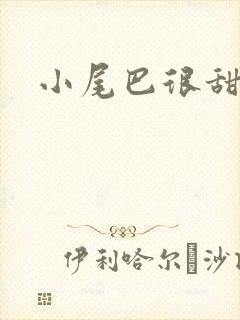 小尾巴很甜封面