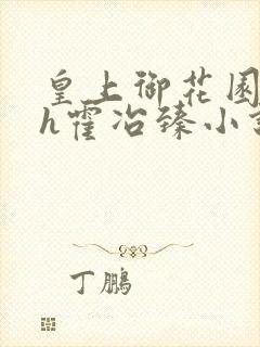 皇上御花园hlh霍冶臻小说封面