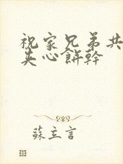 祝家兄弟共享后夹心饼干封面