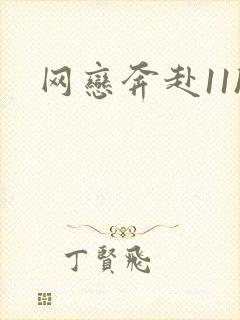 网恋奔赴11h封面