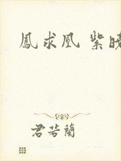 凤求凰 紫晓封面