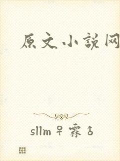 原文小说网