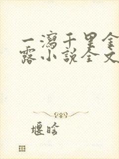 一泻千里金银花露小说全文免费阅读封面