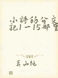 小诗的公交车日记1一15哪里能看封面